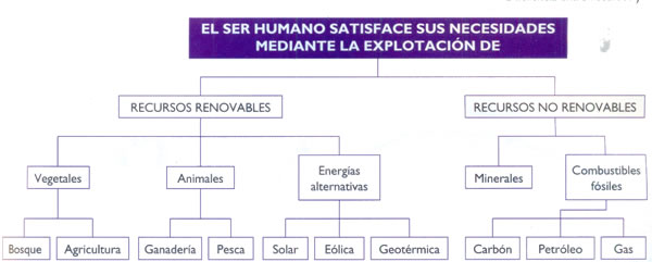 organizacion recursos